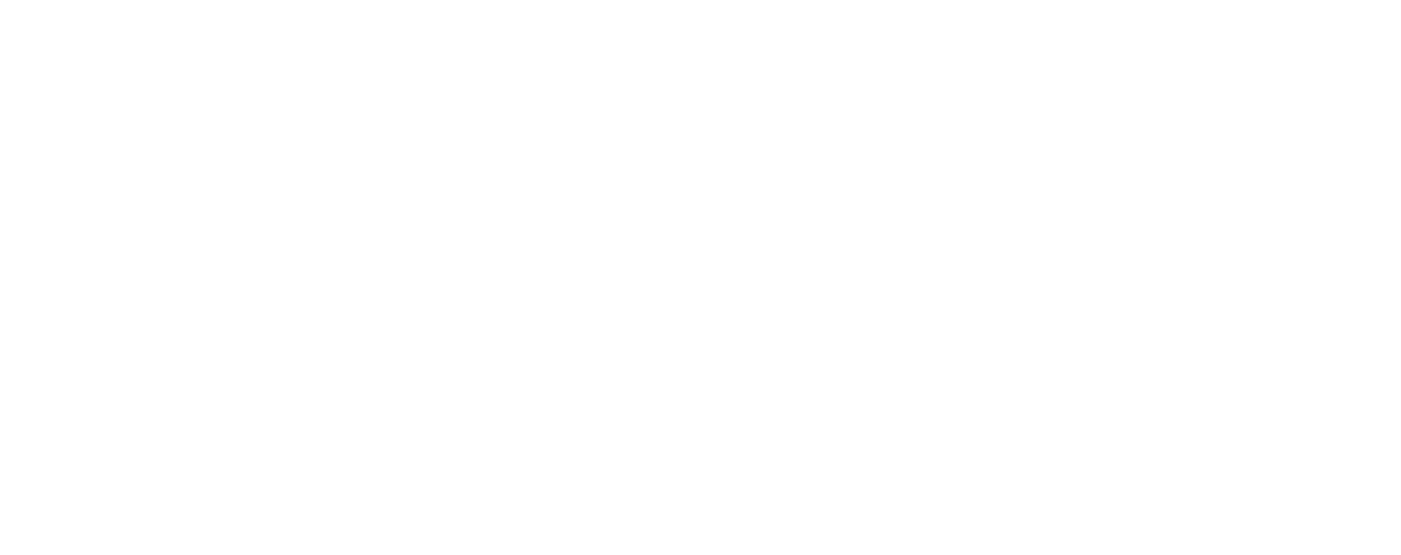 Radical Cup Challenge Illinois logo